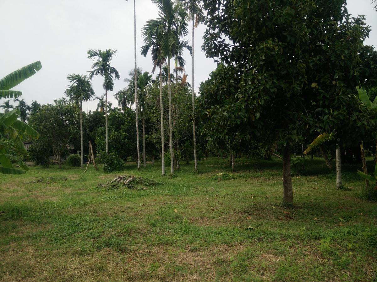 Deva Garden Resort Prachinburi Ngoại thất bức ảnh