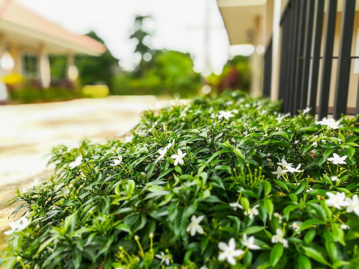 Deva Garden Resort Prachinburi Ngoại thất bức ảnh